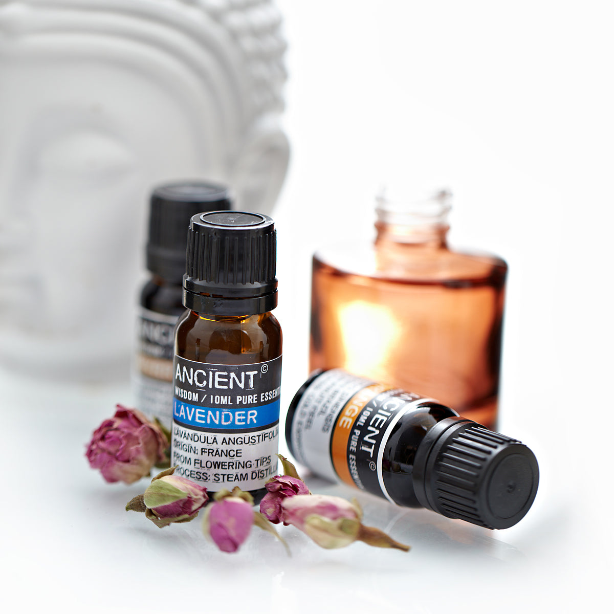 Essential Oil Lavender