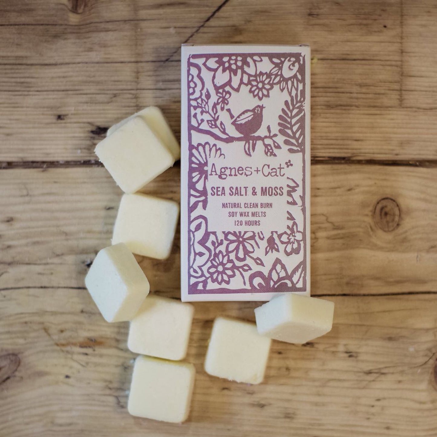 Agnes + Cat Box of 8 Wax Melts - Seasalt + Moss - Vivid Aromas UK
