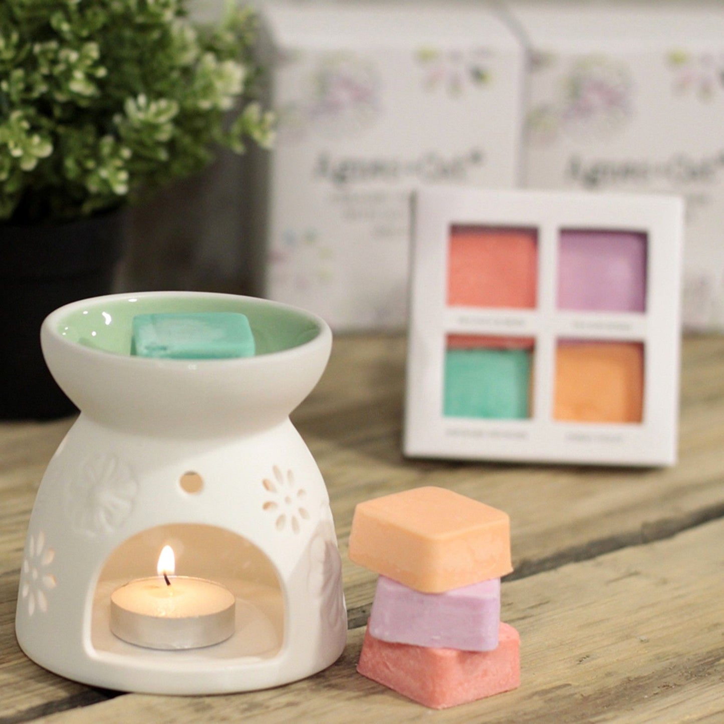 Wax Melter with Four Soy Wax Melts - Vivid Aromas UK