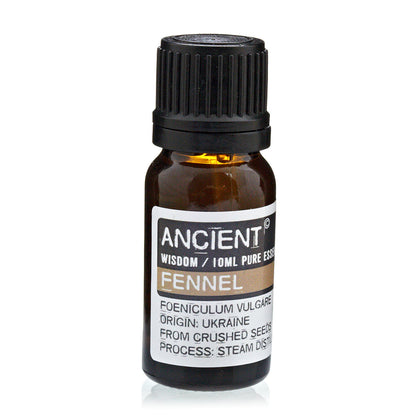 Fennel Essential Oil - 10ml - Vivid Aromas UK