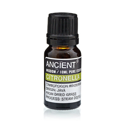 Citronella Essential Oil - 10ml - Vivid Aromas UK