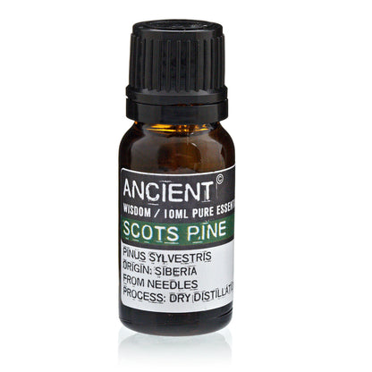 Pine Sylvestris (Scots Pine) Essential Oil - 10 ml - Vivid Aromas UK