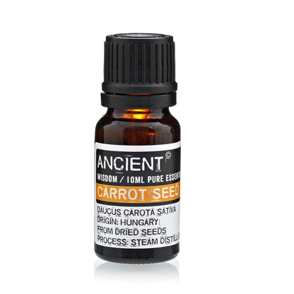 Carrot Seed Essential Oil - 10 ml - Vivid Aromas UK