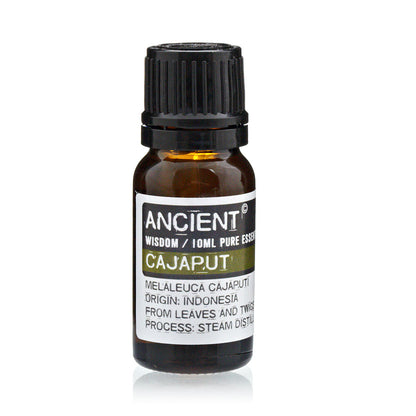 Cajaput Essential Oil - 10 ml - Vivid Aromas UK
