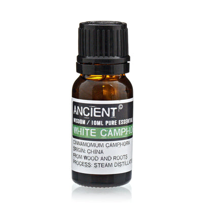 White Camphor Essential Oil - 10 ml - Vivid Aromas UK