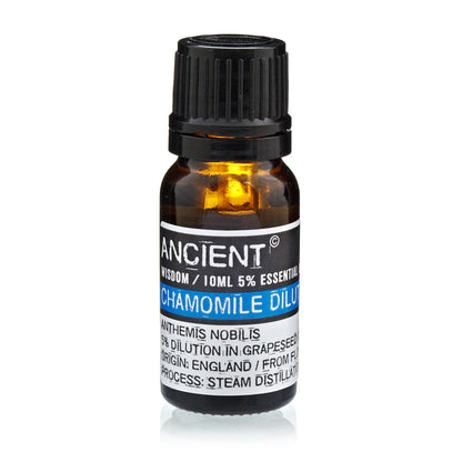 Chamomile Roman (D) Essential Oil - 10 ml - Vivid Aromas UK