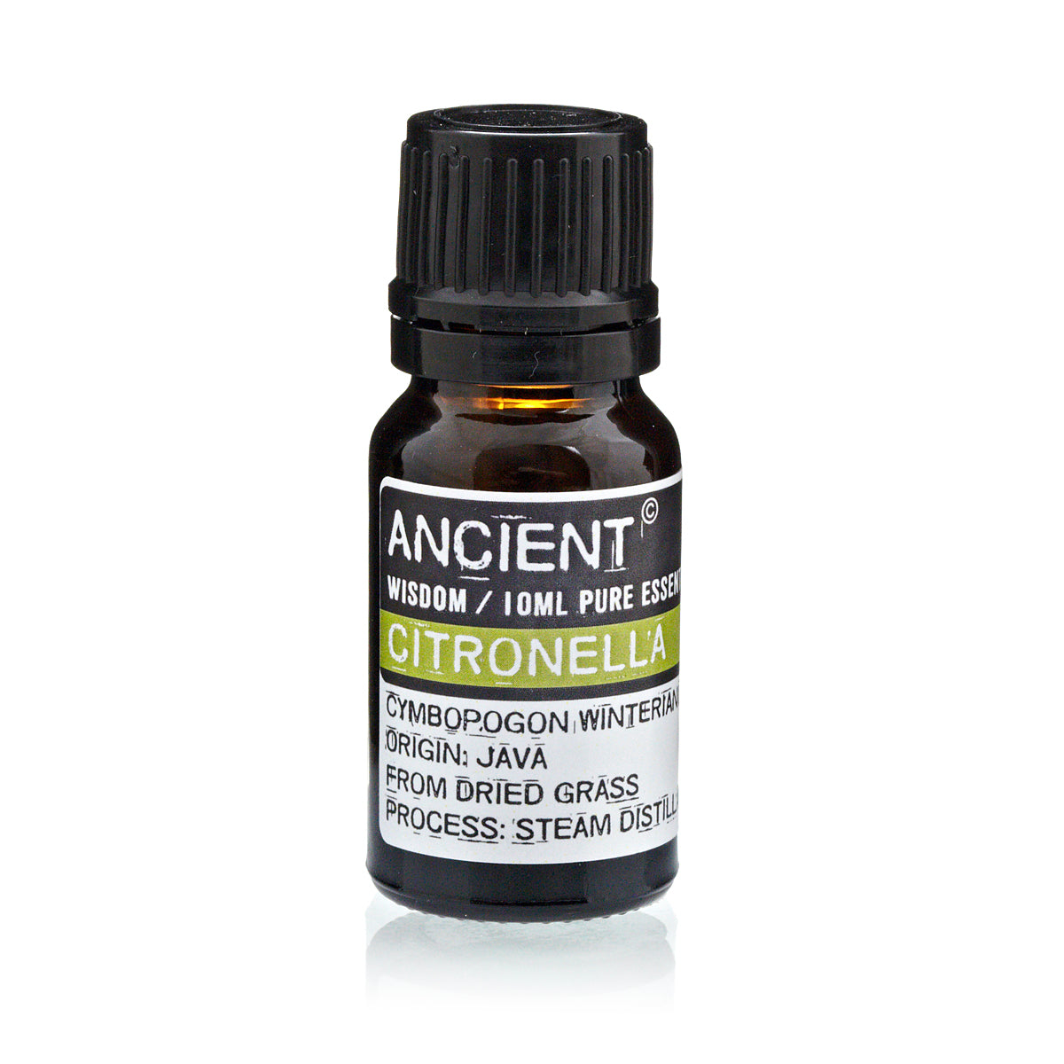 Citronella Essential Oil - 10ml - Vivid Aromas UK
