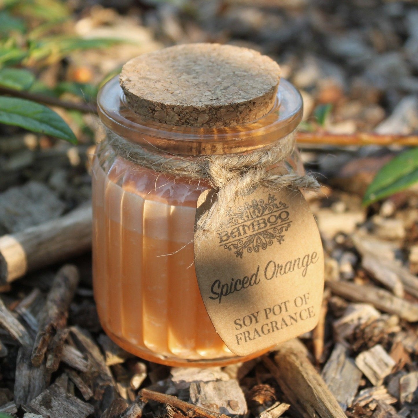 Spiced Orange Soy Pot of Fragrance Candles - Vivid Aromas UK