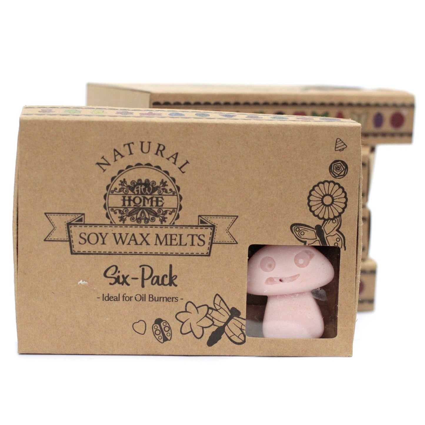 Box of 6 Wax Melts - Old Ginger - Vivid Aromas UK