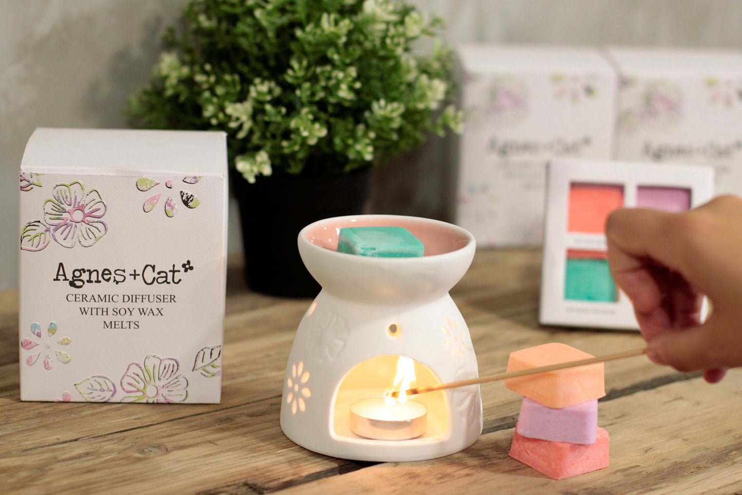 Wax Melter with Four Soy Wax Melts - Vivid Aromas UK