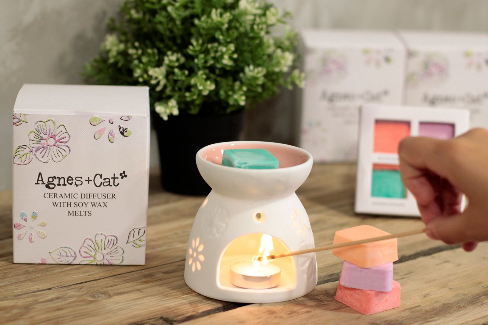 Wax Melter with Four Soy Wax Melts - Vivid Aromas UK