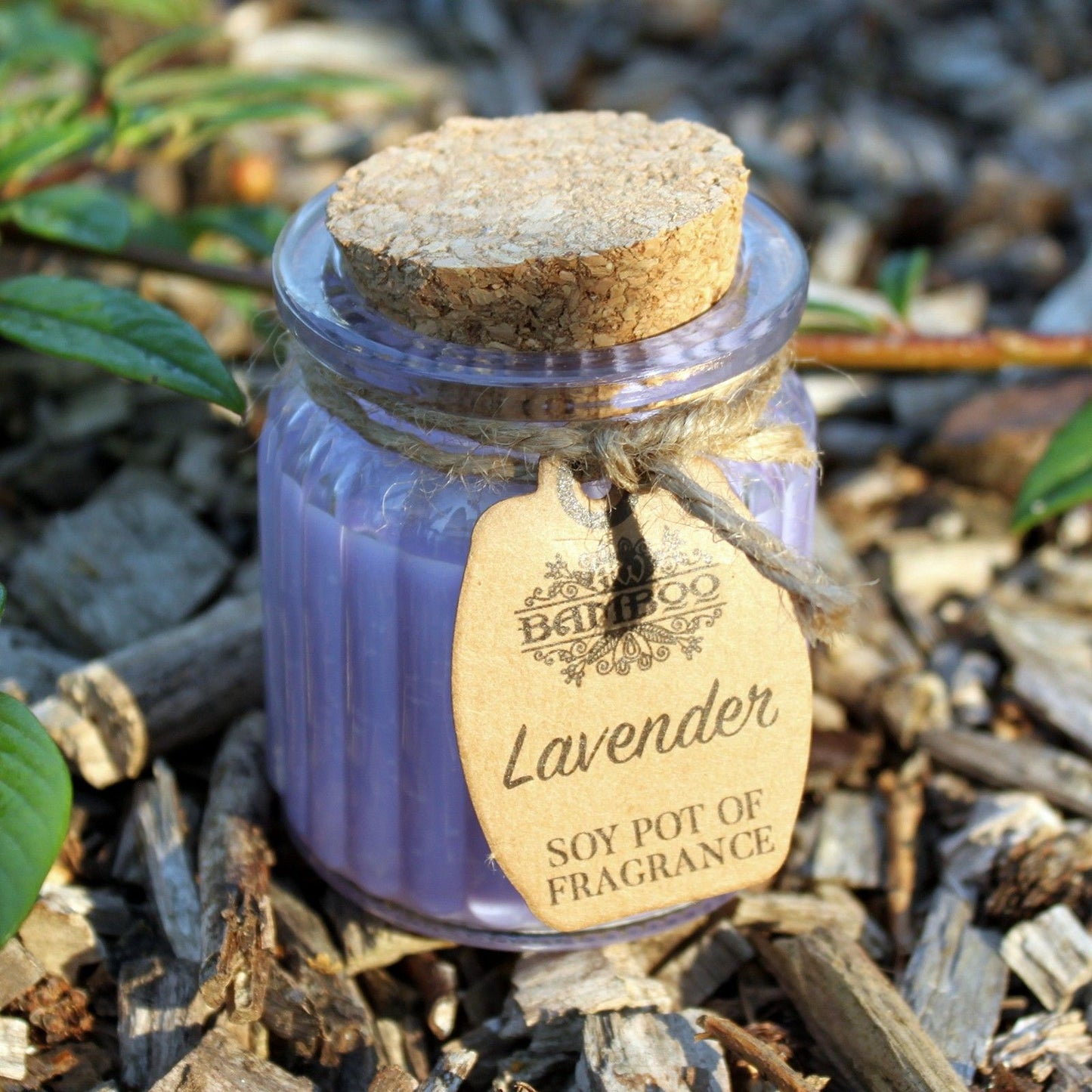 Lavender Soy Pot of Fragrance Candles - Vivid Aromas UK