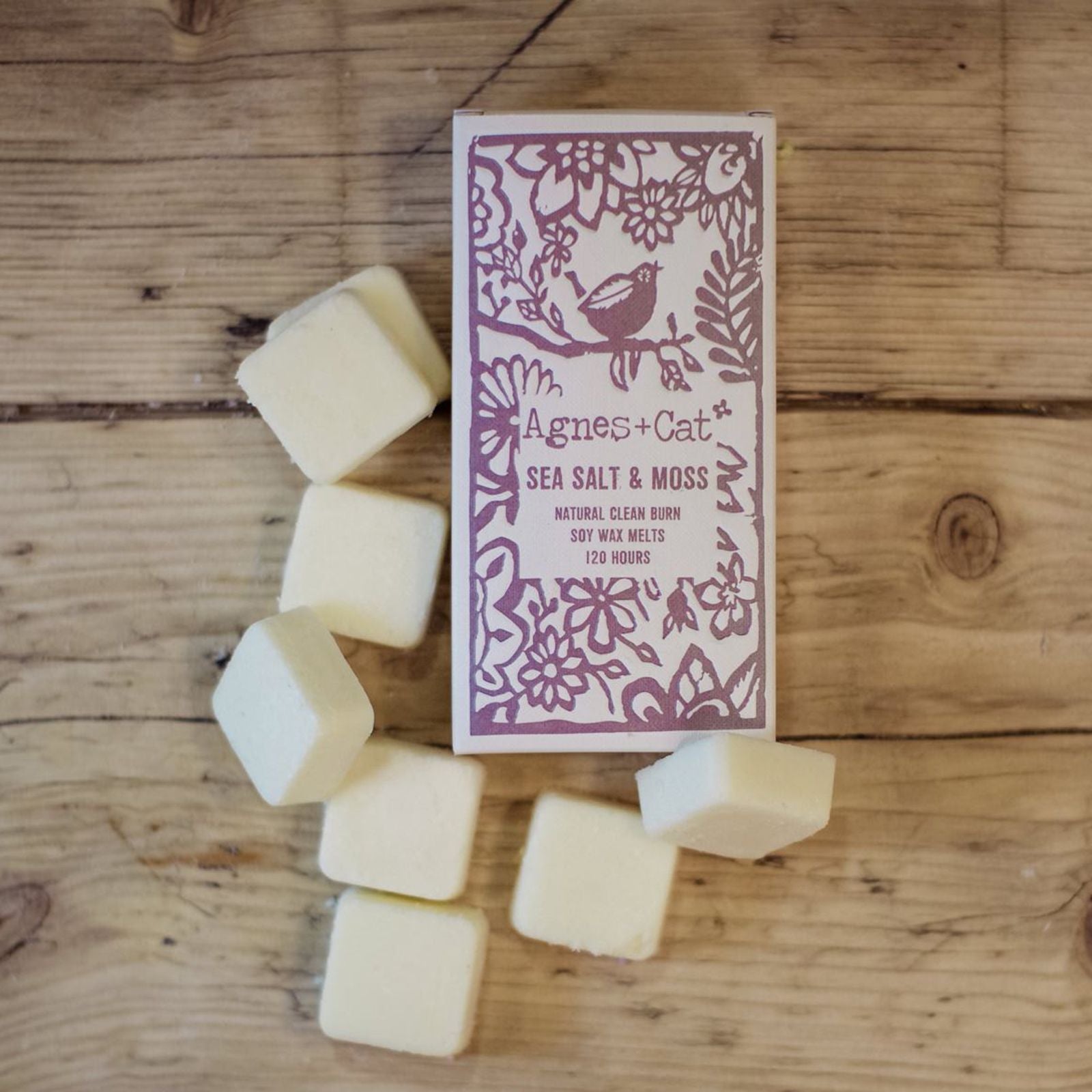 Agnes + Cat Box of 8 Wax Melts - Seasalt + Moss - Vivid Aromas UK