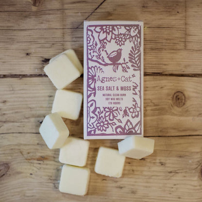Agnes + Cat Box of 8 Wax Melts - Seasalt + Moss - Vivid Aromas UK