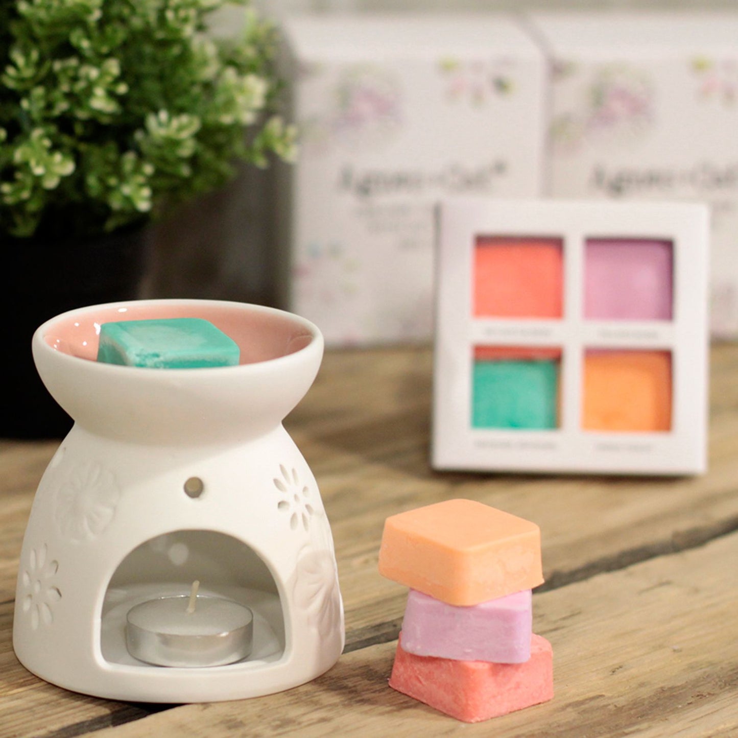 Wax Melter with Four Soy Wax Melts - Vivid Aromas UK