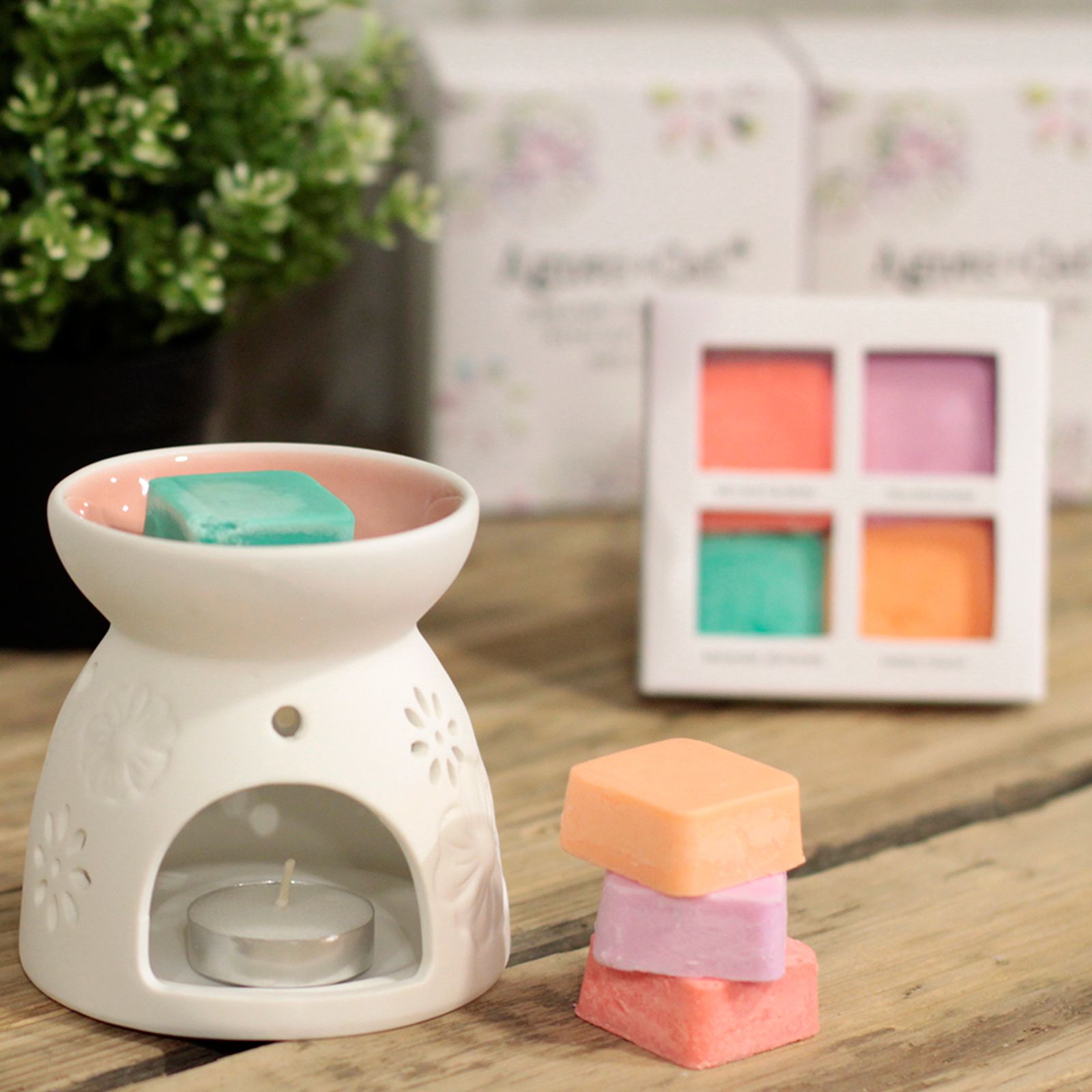 Wax Melter with Four Soy Wax Melts - Vivid Aromas UK
