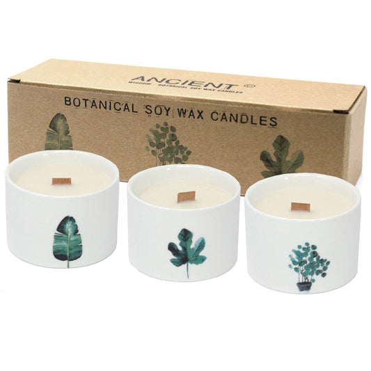 Med Botanical Candles - Mullberry Harvest - Vivid Aromas UK