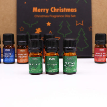Festive Delights Fragrance Set - Vivid Aromas UK