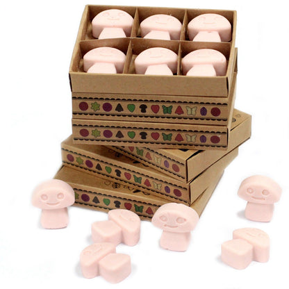 Box of 6 Wax Melts - Dark Sandalwood - Vivid Aromas UK
