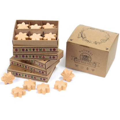 Box of 6 Wax Melts - Midnight Jasmine - Vivid Aromas UK