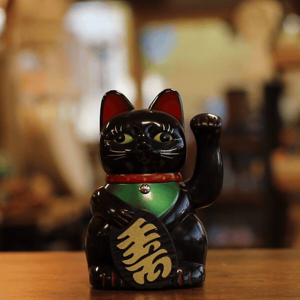 Black Money Cat - 15cm - Vivid Aromas UK