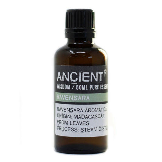 Ravensara Essential Oil 50ml - Vivid Aromas UK