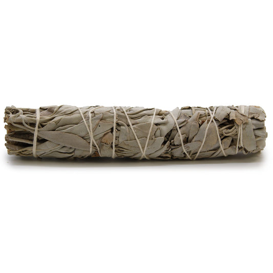 Smudge Stick - White Sage 15cm - Vivid Aromas UK