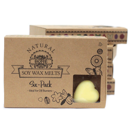 Box of 6 Wax Melts - Brandy Butter - Vivid Aromas UK