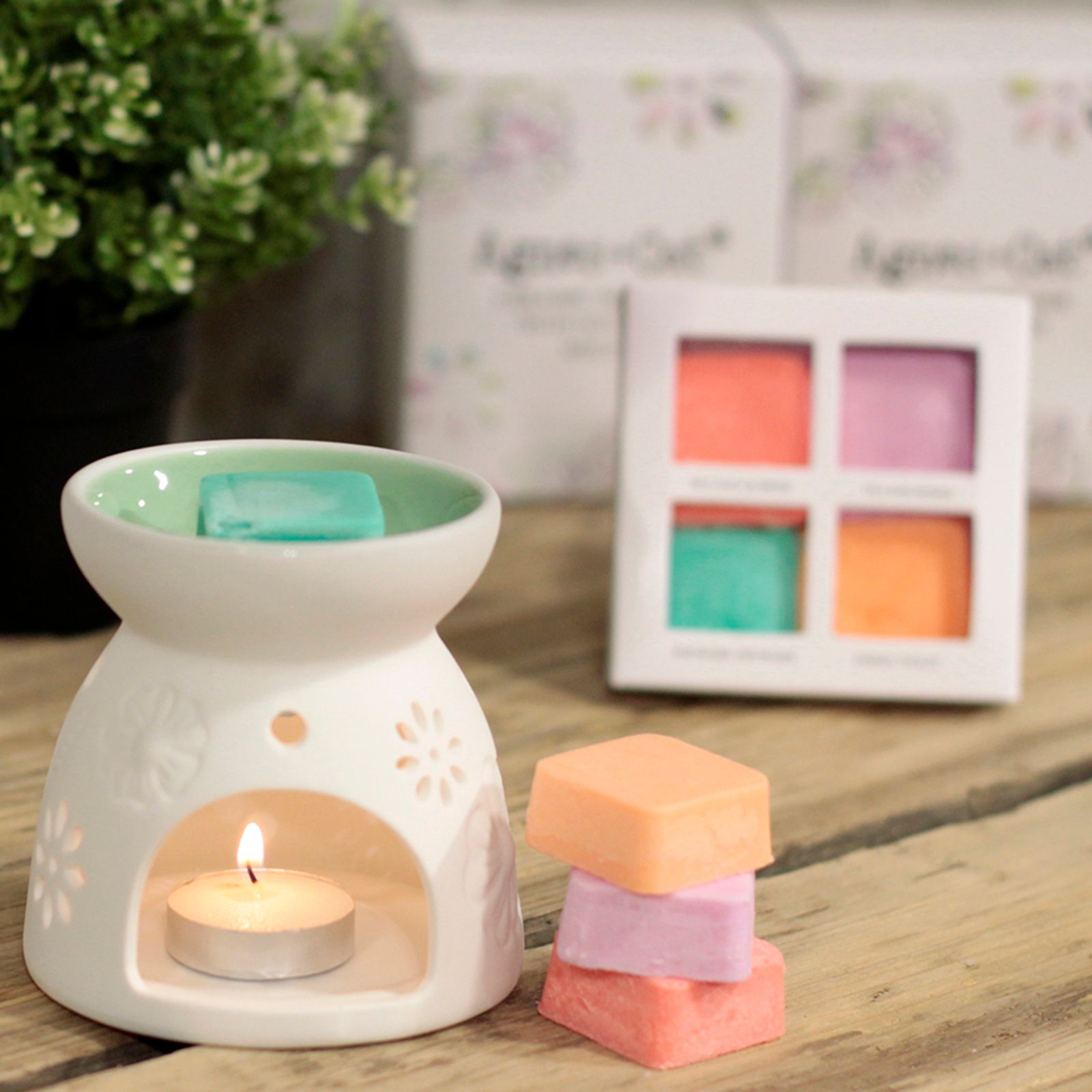Wax Melter with Four Soy Wax Melts - Vivid Aromas UK