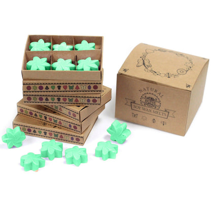 Box of 6 Wax Melts - Hidden Garden - Vivid Aromas UK