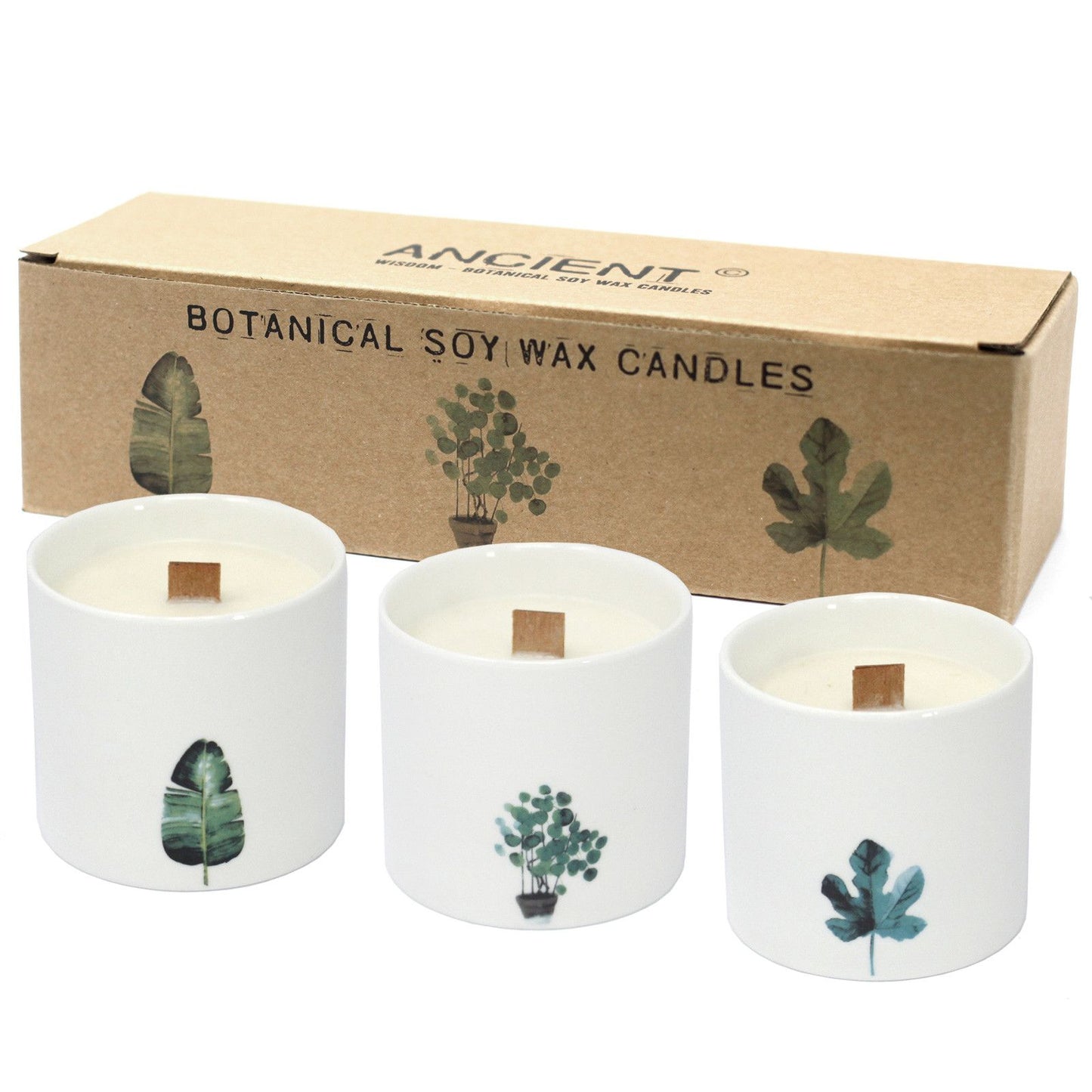 Large Botanical Candles - Marsh Viola - Vivid Aromas UK