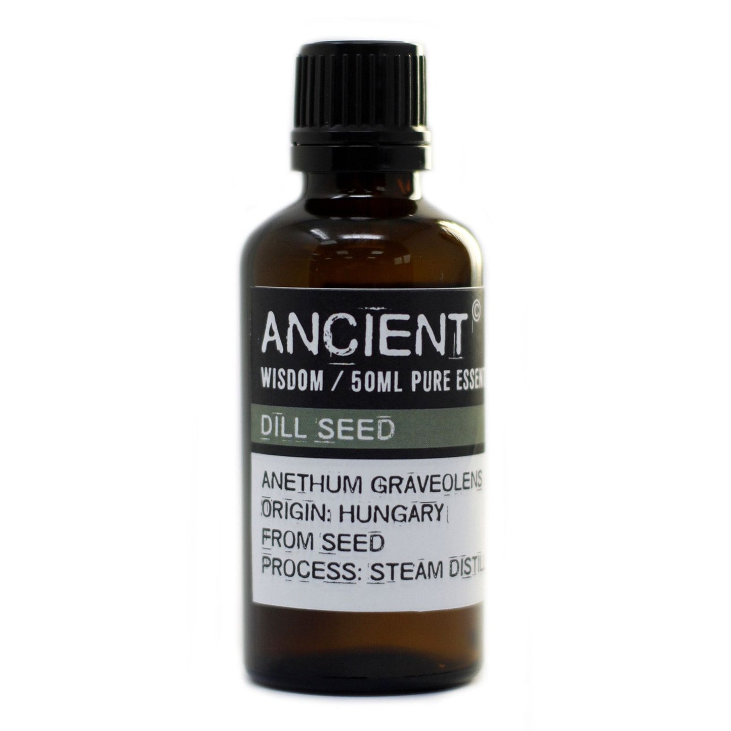 Dill Seed Essential Oil 50ml - Vivid Aromas UK