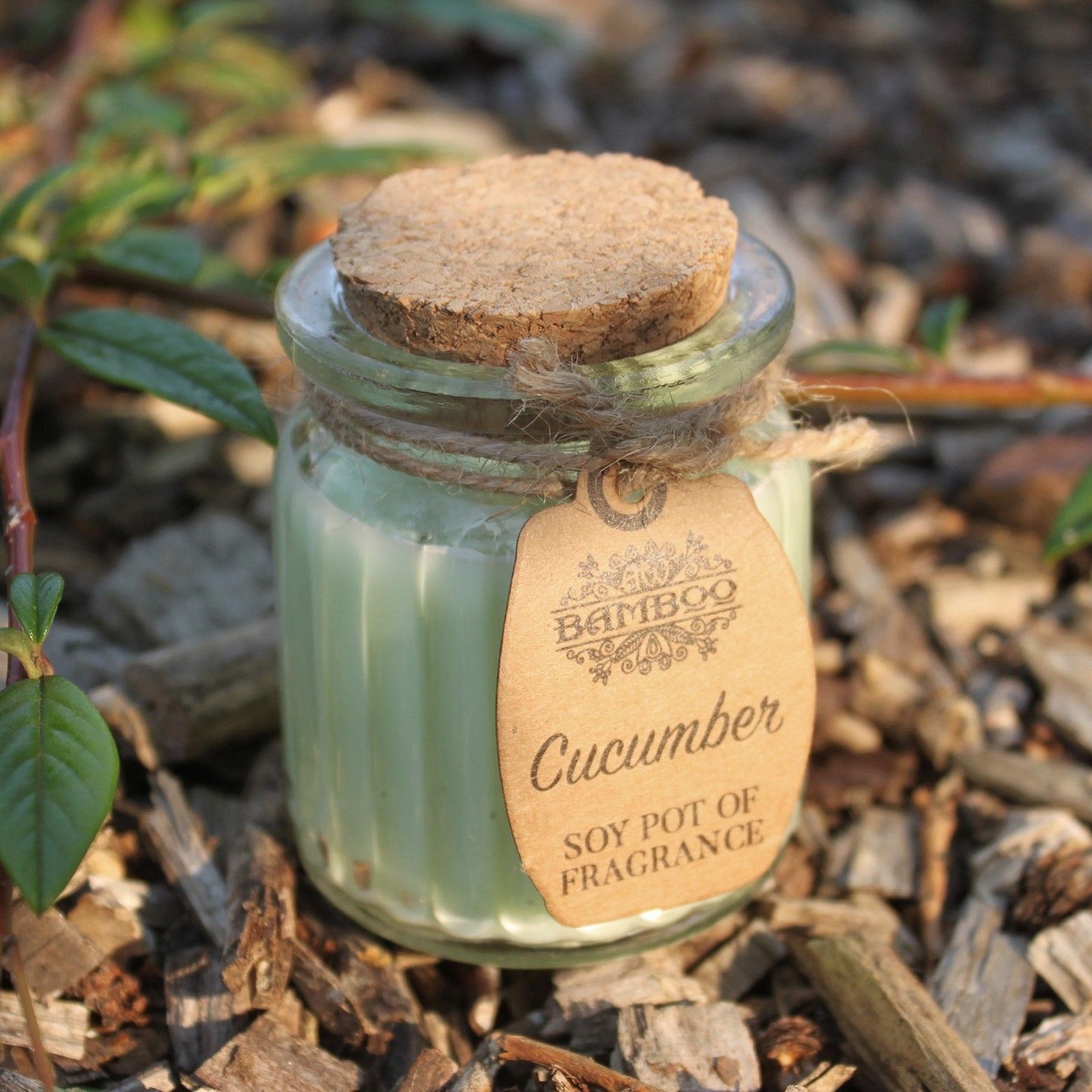 Cucumber Soy Pot of Fragrance Candles - Vivid Aromas UK
