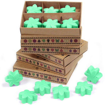 Box of 6 Wax Melts - Hidden Garden - Vivid Aromas UK