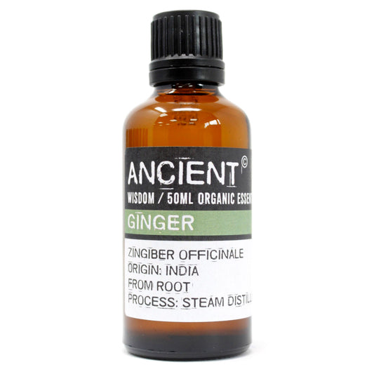 Ginger Organic Essential Oil 50ml - Vivid Aromas UK