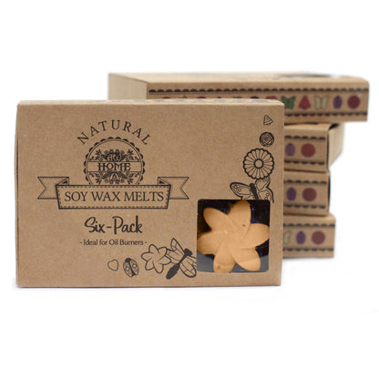 Box of 6 Wax Melts - Midnight Jasmine - Vivid Aromas UK
