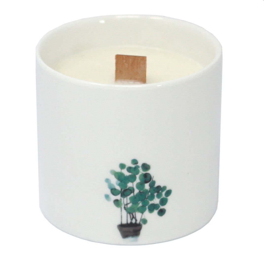 Large Botanical Candles - Marsh Viola - Vivid Aromas UK