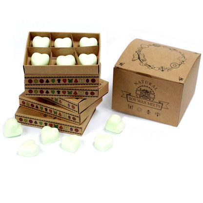 Box of 6 Wax Melts - Apple Spice - Vivid Aromas UK