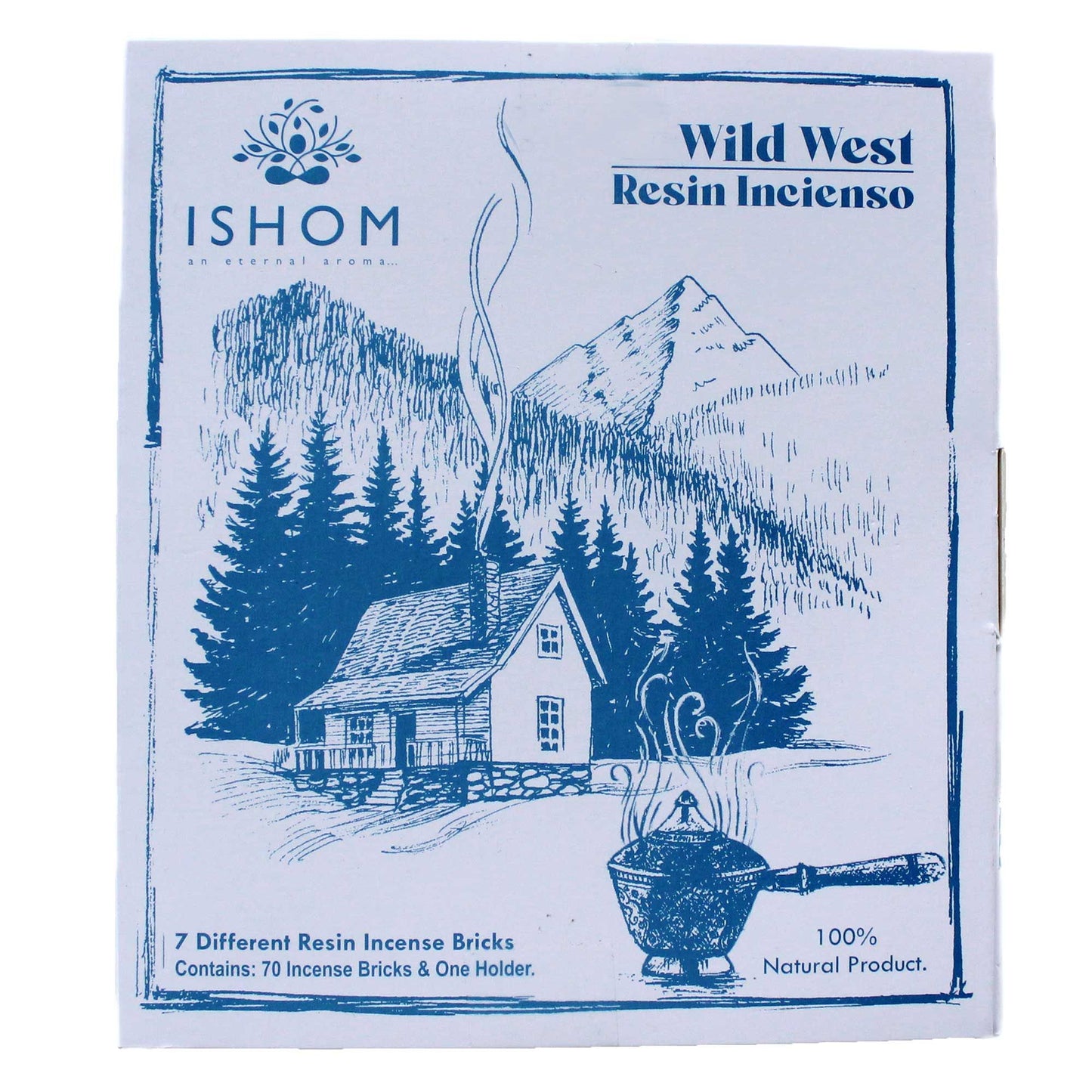 Display Set of 70 Incense Smudge Bricks and Burner - Wild West - Vivid Aromas UK