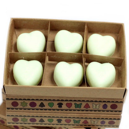 Box of 6 Wax Melts - Mint & Menthol - Vivid Aromas UK