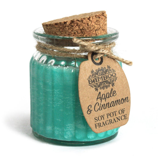 Apple & Cinnamon Soy Pot of Fragrance Candles - Vivid Aromas UK