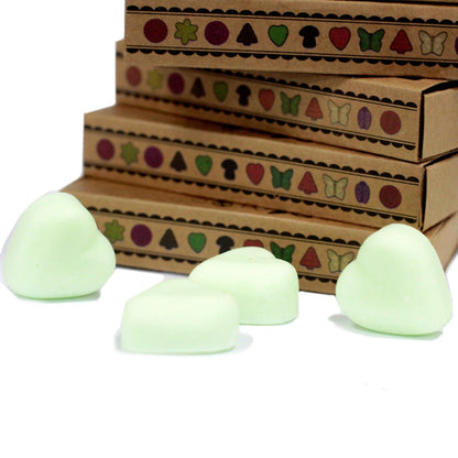 Box of 6 Wax Melts - Watermelon Fresh - Vivid Aromas UK