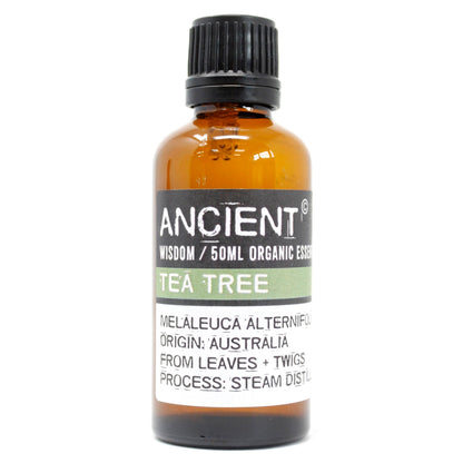 Tea Tree Organic Essential Oil 50ml - Vivid Aromas UK