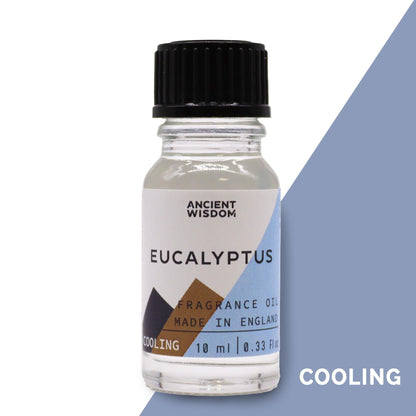 10ml Eucalyptus Fragrance Oil - Vivid Aromas UK