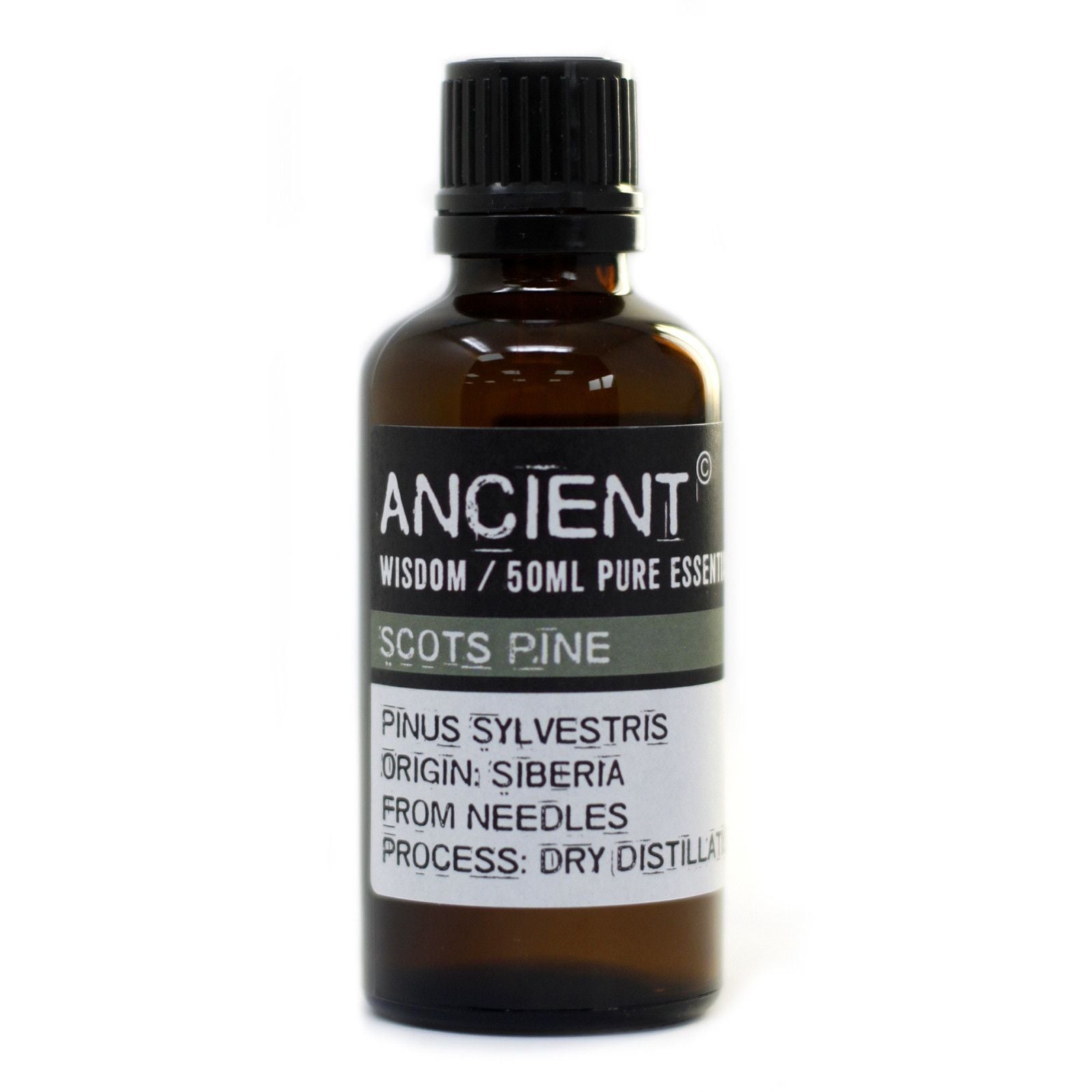 Scots Pine Essential Oil 50ml - Vivid Aromas UK