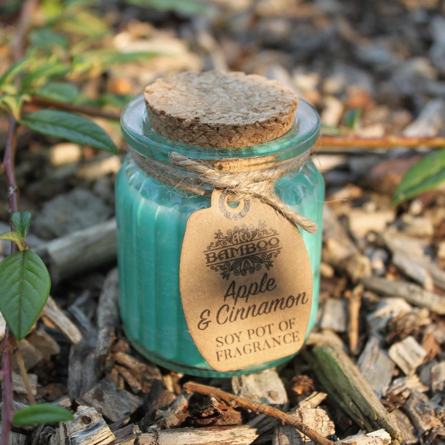 Apple & Cinnamon Soy Pot of Fragrance Candles - Vivid Aromas UK