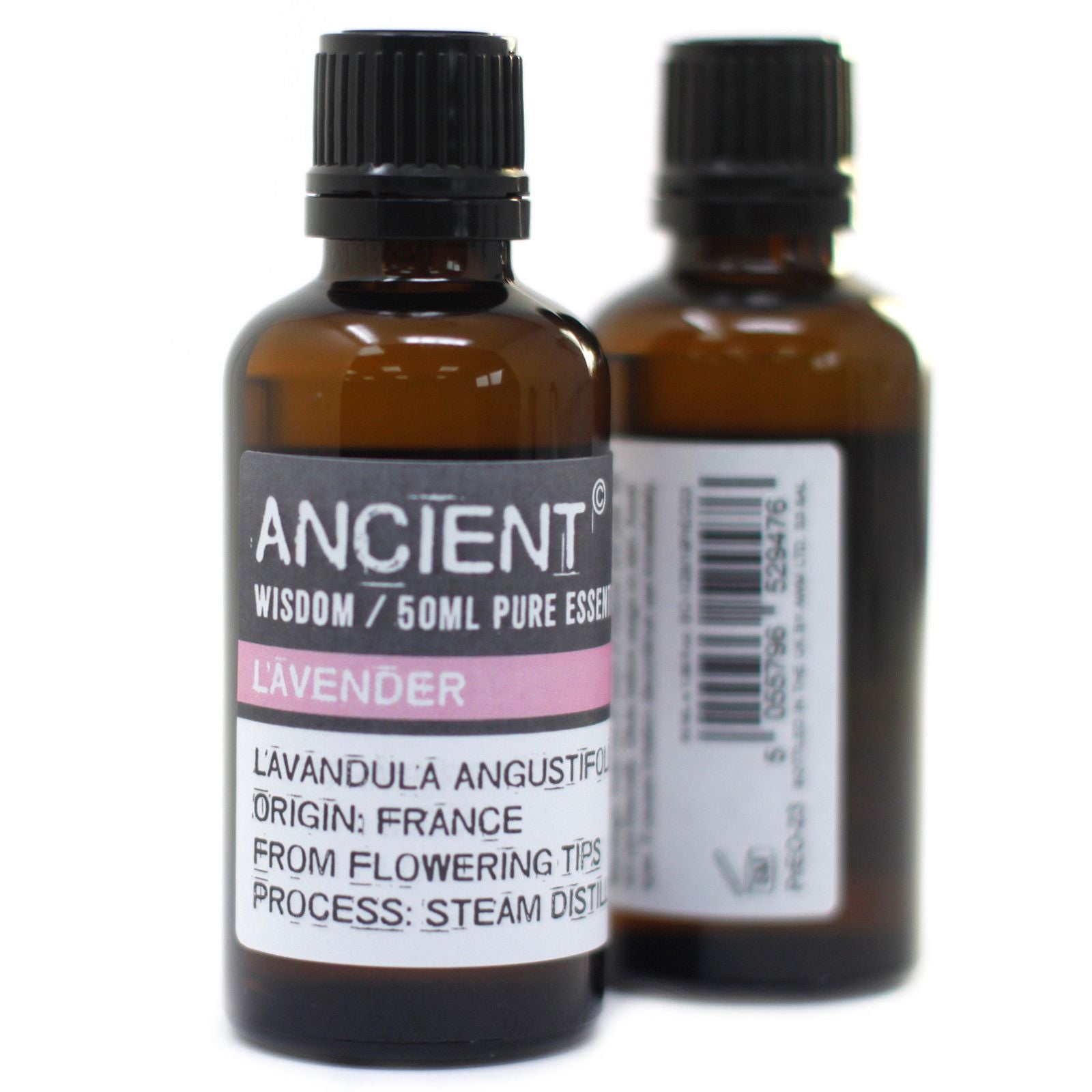 Carrot Seed Essential Oil 50ml - Vivid Aromas UK
