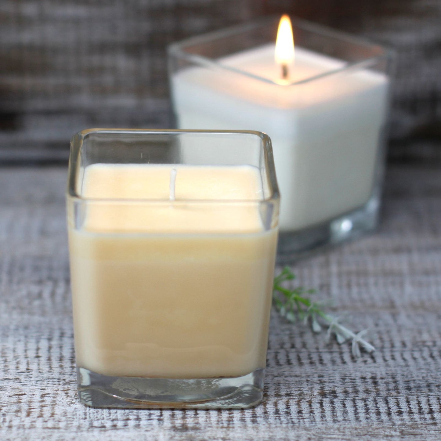 White Label Soy Wax Jar Candle - Grapefruit & Ginger - Vivid Aromas UK