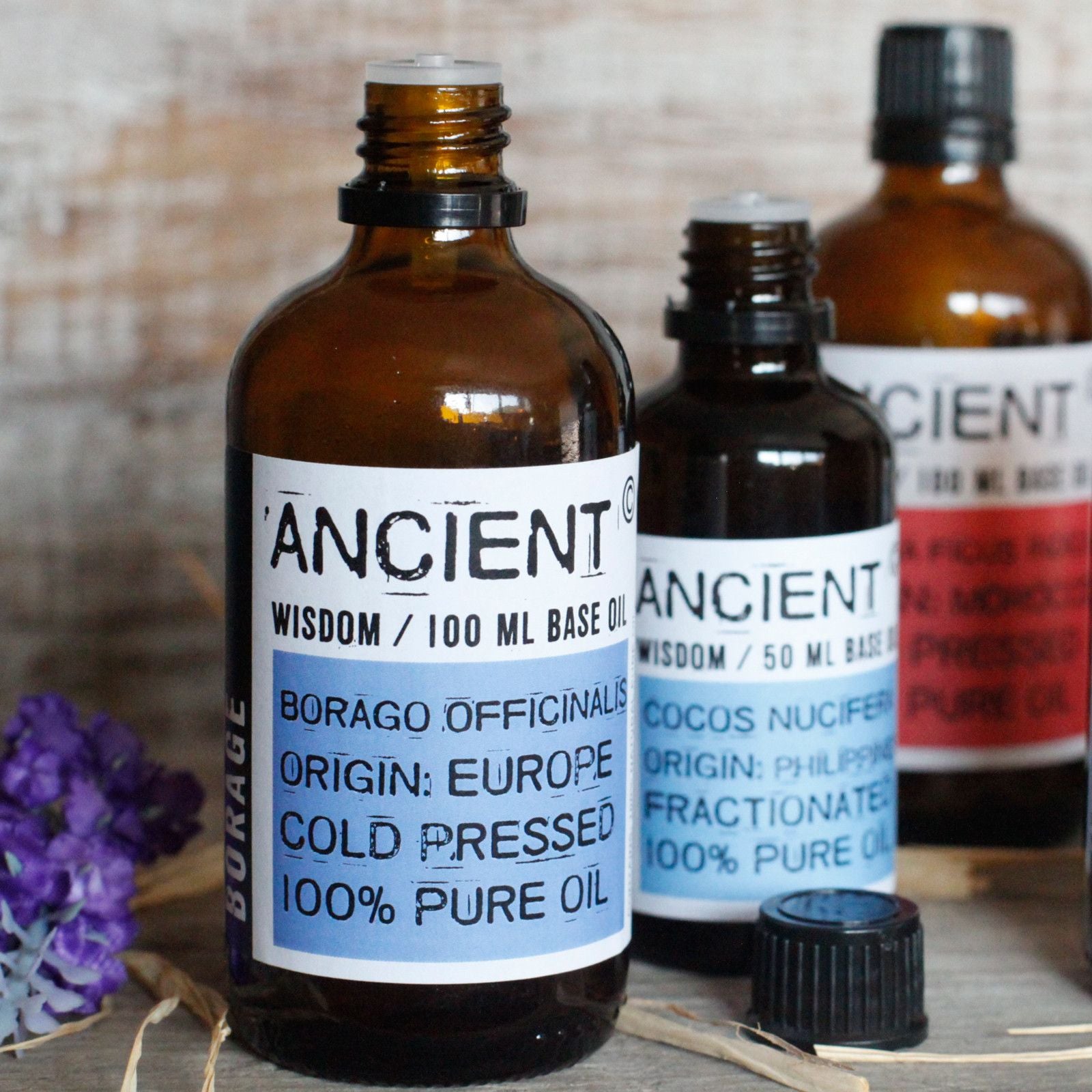 Rapeseed Oil - 50ml - Vivid Aromas UK