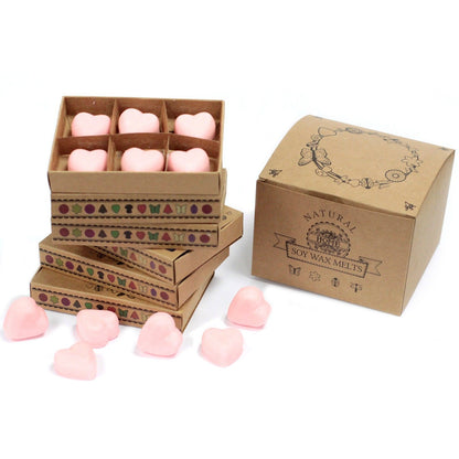 Box of 6 Wax Melts - Dragon's Blood - Vivid Aromas UK